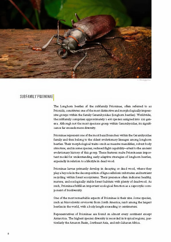 Subfamily Prioninae of the World I.