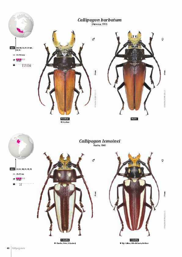 Subfamily Prioninae of the World I.