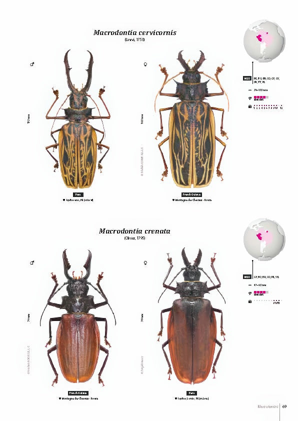 Subfamily Prioninae of the World I.