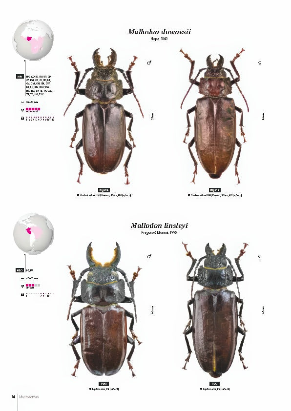 Subfamily Prioninae of the World I.