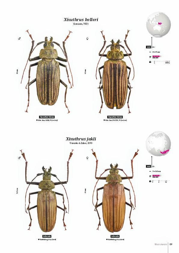 Subfamily Prioninae of the World I.