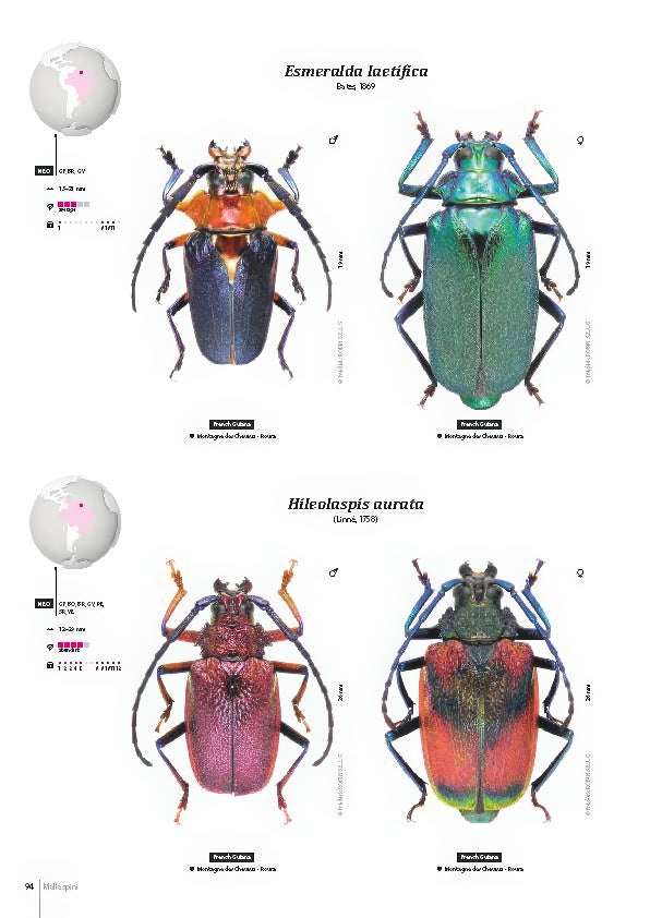 Subfamily Prioninae of the World I.