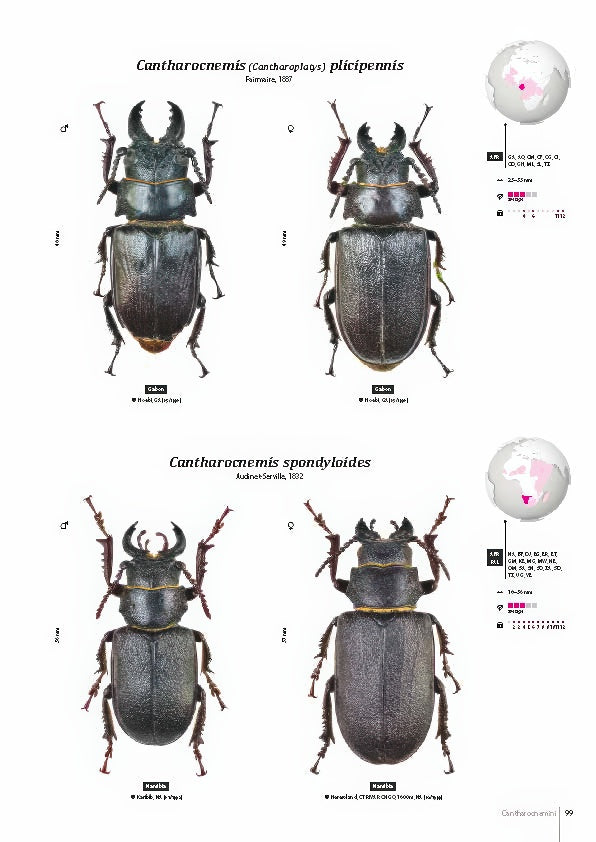 Subfamily Prioninae of the World I.