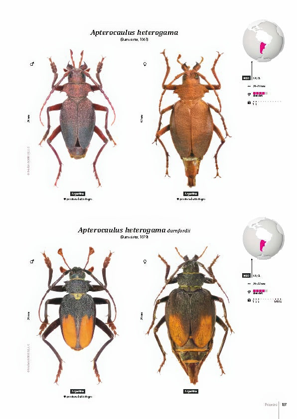 Subfamily Prioninae of the World I.