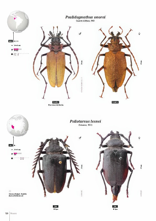 Subfamily Prioninae of the World I.