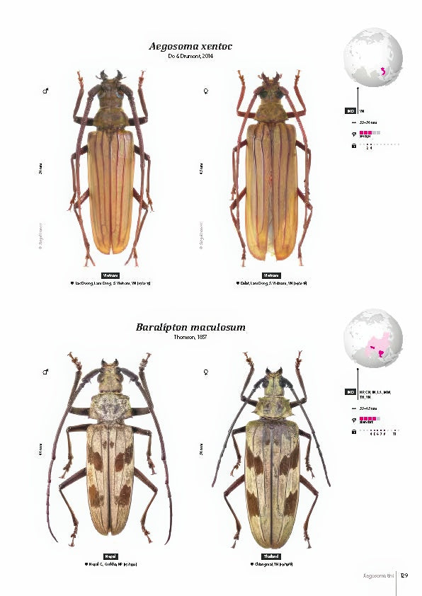 Subfamily Prioninae of the World I.