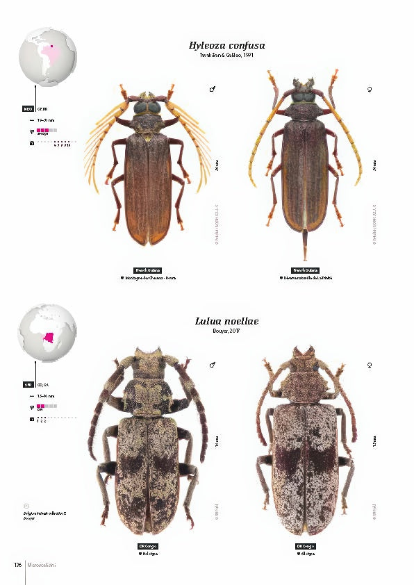 Subfamily Prioninae of the World I.