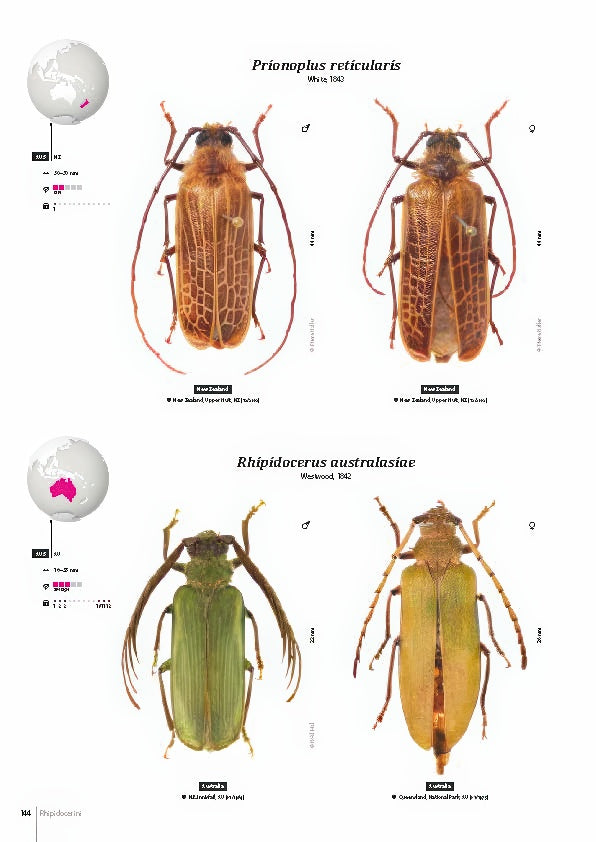Subfamily Prioninae of the World I.