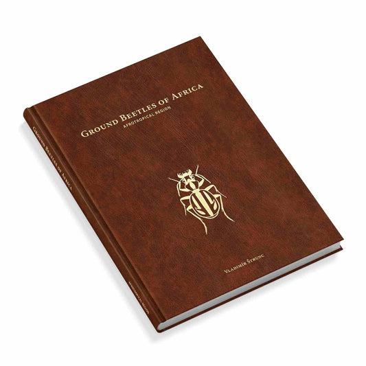 Střevlíci Afriky - Anthia, Carabidae