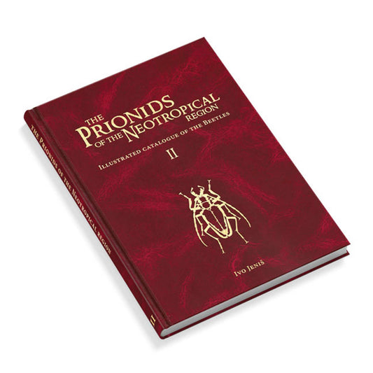 Piluny - Největší tesaříci Jižní Ameriky