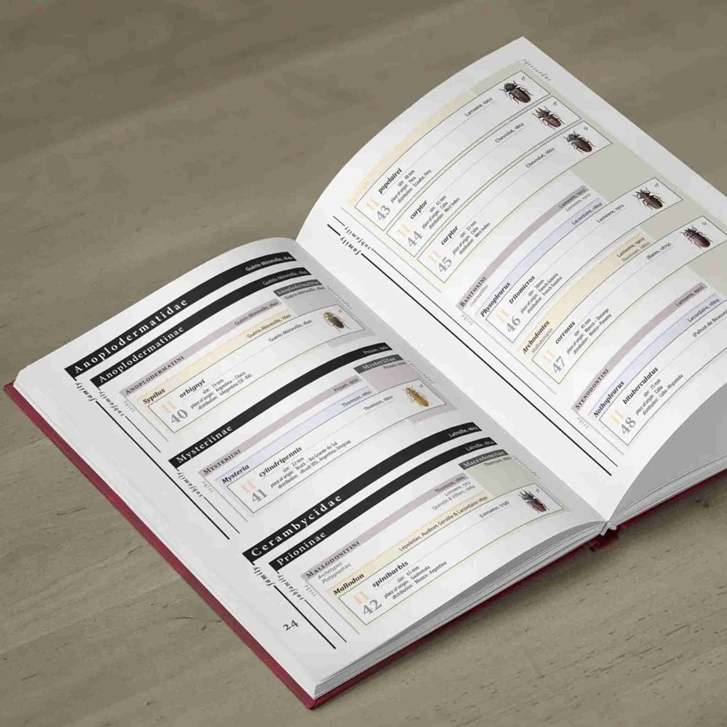 Piluny - Největší tesaříci Jižní Ameriky