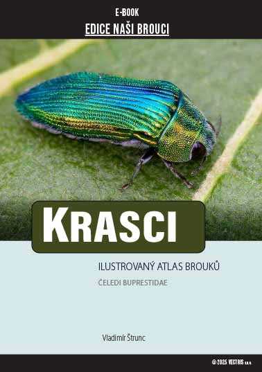 Krasci Buprestidae E-book
