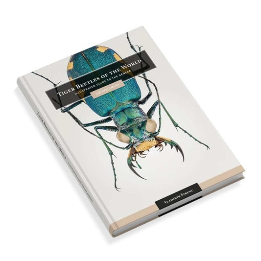 Svižníci světa  - rody Cicindelidae